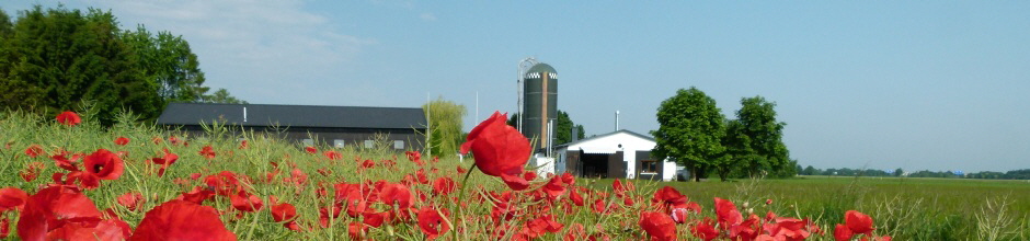 Werkstatt in Wei�enfeld